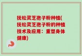 抚松灵芝孢子粉种植(抚松灵芝孢子粉的种植技术及应用：重塑身体健康)
