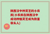 陕西汉中种灵芝的小农民(小农民在陕西汉中成功种植灵芝成为致富带头人)