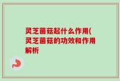 灵芝菌菇起什么作用(灵芝菌菇的功效和作用解析