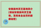 安徽滁州灵芝基地简介(探秘安徽滁州灵芝基地，发现来自自然的健康秘密)