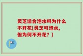 灵芝适合泡水吗为什么不开花(灵芝可泡水,但为何不开花？)