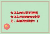 大货车收购灵芝视频(大货车现场回收珍贵灵芝，实拍视频流传！)