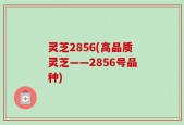 灵芝2856(高品质灵芝——2856号品种)