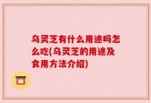 乌灵芝有什么用途吗怎么吃(乌灵芝的用途及食用方法介绍)
