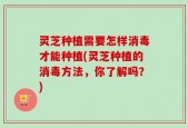 灵芝种植需要怎样消毒才能种植(灵芝种植的消毒方法，你了解吗？)