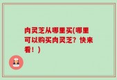 肉灵芝从哪里买(哪里可以购买肉灵芝？快来看！)