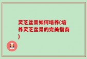 灵芝盆景如何培养(培养灵芝盆景的完美指南)
