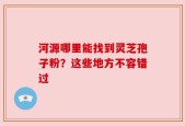 河源哪里能找到灵芝孢子粉？这些地方不容错过