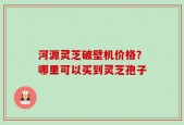 河源灵芝破壁机价格？哪里可以买到灵芝孢子