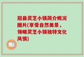 冠县灵芝小镇简介概况图片(享受自然美景，领略灵芝小镇独特文化风情)