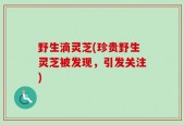 野生滴灵芝(珍贵野生灵芝被发现，引发关注)