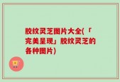 胶纹灵芝图片大全(「完美呈现」胶纹灵芝的各种图片)