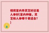 楼房室内养灵芝好还是人参好(室内种植，灵芝和人参哪个更适合？)
