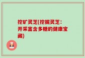 挖矿灵芝(挖掘灵芝：开采富含多糖的健康宝藏)