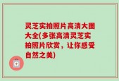 灵芝实拍照片高清大图大全(多张高清灵芝实拍照片欣赏，让你感受自然之美)