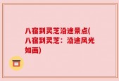 八宿到灵芝沿途景点(八宿到灵芝：沿途风光如画)