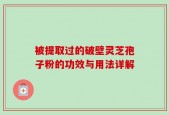被提取过的破壁灵芝孢子粉的功效与用法详解