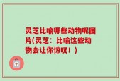 灵芝比喻哪些动物呢图片(灵芝：比喻这些动物会让你惊叹！)