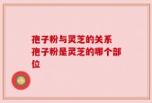 孢子粉与灵芝的关系 孢子粉是灵芝的哪个部位