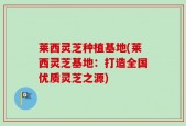 莱西灵芝种植基地(莱西灵芝基地：打造全国优质灵芝之源)