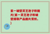 紫一破壁灵芝孢子粉图片(紫一灵芝孢子粉破壁提取产品图片赏析。)