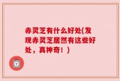 赤灵芝有什么好处(发现赤灵芝居然有这些好处，真神奇！)