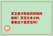 灵芝孢子粉如何辨别种类呢？灵芝分多少种,看看这个是灵芝吗？