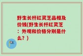 野生长杆红灵芝品相及价钱(野生长杆红灵芝：外观和价格分别是什么？)