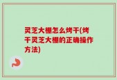 灵芝大棚怎么烤干(烤干灵芝大棚的正确操作方法)