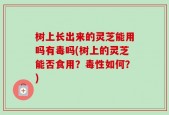 树上长出来的灵芝能用吗有毒吗(树上的灵芝能否食用？毒性如何？)