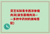 灵芝石斛麦冬西洋参瘦肉汤(益生菌瘦肉汤——多种中药材的美味搭配)