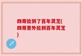 四哥捡到了百年灵芝(四哥意外捡到百年灵芝)