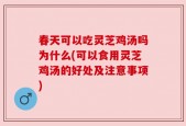春天可以吃灵芝鸡汤吗为什么(可以食用灵芝鸡汤的好处及注意事项)