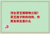 河北灵芝提取物三萜？灵芝孢子粉的功效、作用及禁忌是什么