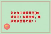 怎么加工破壁灵芝(破壁灵芝：超越传统，释放更多营养力量！)