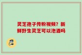 灵芝孢子传粉视频？新鲜野生灵芝可以泡酒吗