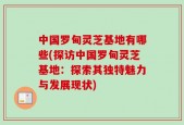 中国罗甸灵芝基地有哪些(探访中国罗甸灵芝基地：探索其独特魅力与发展现状)
