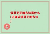 栽灵芝正确方法是什么(正确采摘灵芝的方法)