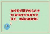 自种天然灵芝怎么吃才好(如何科学食用天然灵芝，提高药用价值？)