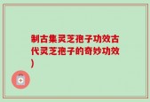 制古集灵芝孢子功效古代灵芝孢子的奇妙功效)