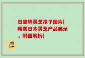 日皇牌灵芝孢子图片(精美日本灵芝产品展示，附图解析)