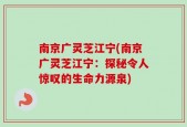 南京广灵芝江宁(南京广灵芝江宁：探秘令人惊叹的生命力源泉)