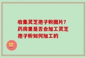 收集灵芝孢子粉图片？药房里是否会加工灵芝孢子粉如何加工的