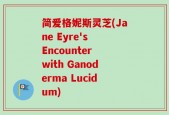 简爱格妮斯灵芝(Jane Eyre's Encounter with Ganoderma Lucidum)