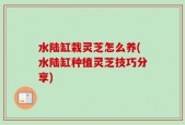 水陆缸栽灵芝怎么养(水陆缸种植灵芝技巧分享)