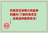 药用灵芝有哪几种品种的图片(了解药用灵芝，这些品种值得关注！)