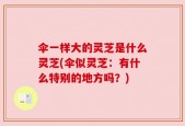 伞一样大的灵芝是什么灵芝(伞似灵芝：有什么特别的地方吗？)
