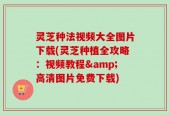 灵芝种法视频大全图片下载(灵芝种植全攻略：视频教程&高清图片免费下载)