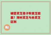 破壁灵芝孢子粉紫芝胶囊？薄树灵芝与赤灵芝区别