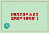 野生黑灵芝产地(黑灵芝的原产地是哪里？)
